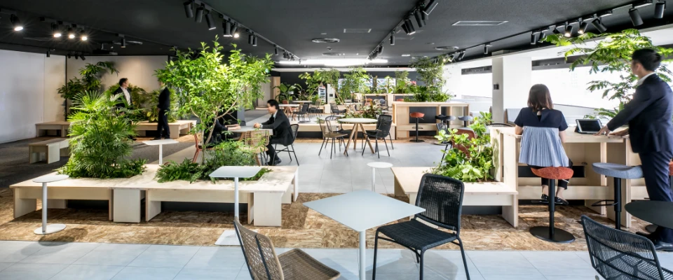 オフィス緑化 イメージ