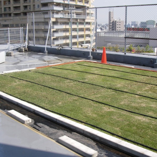 屋上緑化施工タイプ イメージ