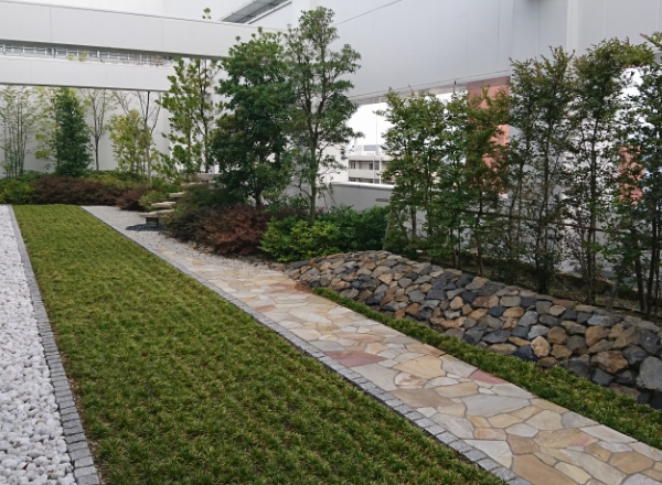 植栽などで緑化する