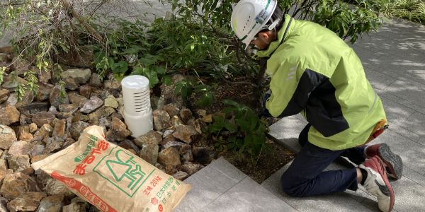 植栽管理について イメージ2