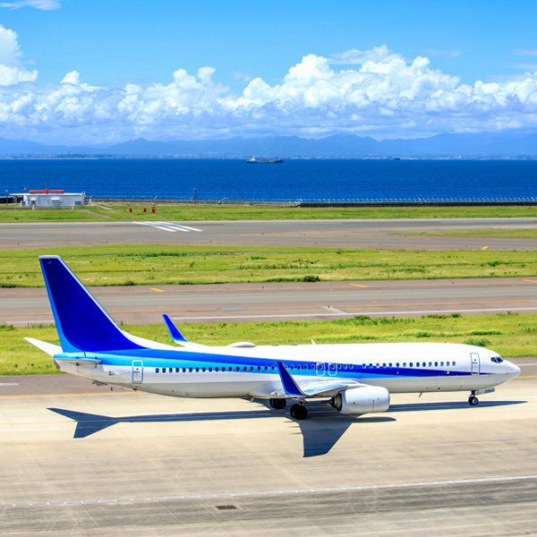 公共施設の植栽管理について イメージ