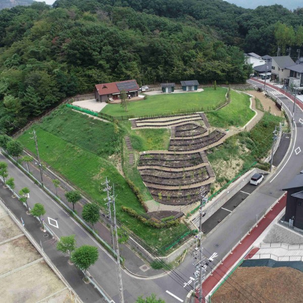 緑地・公園の植栽管理について イメージ