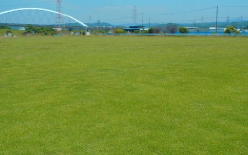 豊田川田圃場(自社)