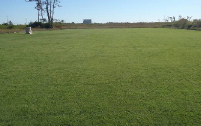 東北圃場(委託)